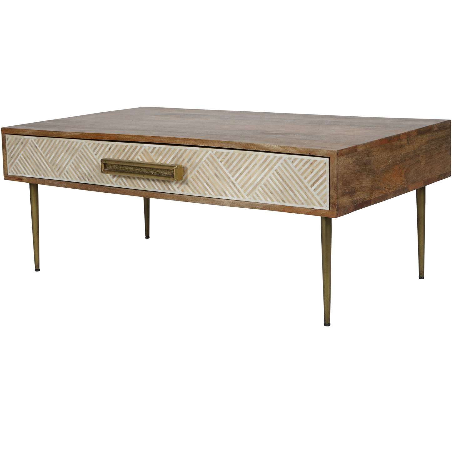 Linden Bone and Mango Wood Coffee Table